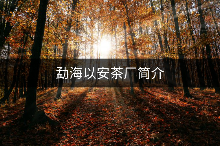 勐海以安茶廠簡(jiǎn)介 勐海以安茶廠簡(jiǎn)介