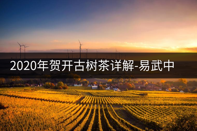 2020年賀開古樹茶詳解-易武中聘號