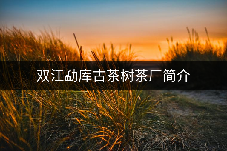 雙江勐庫(kù)古茶樹茶廠簡(jiǎn)介