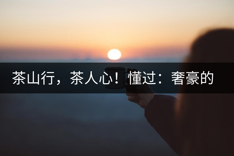 茶山行，茶人心！懂過：奢豪的性價比之王