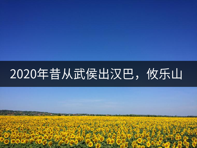 2020年昔從武侯出漢巴，攸樂山中只種茶。-易武中聘號
