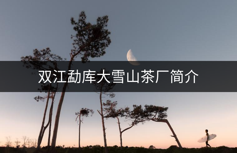 雙江勐庫(kù)大雪山茶廠簡(jiǎn)介 雙江勐庫(kù)大雪山茶廠簡(jiǎn)介