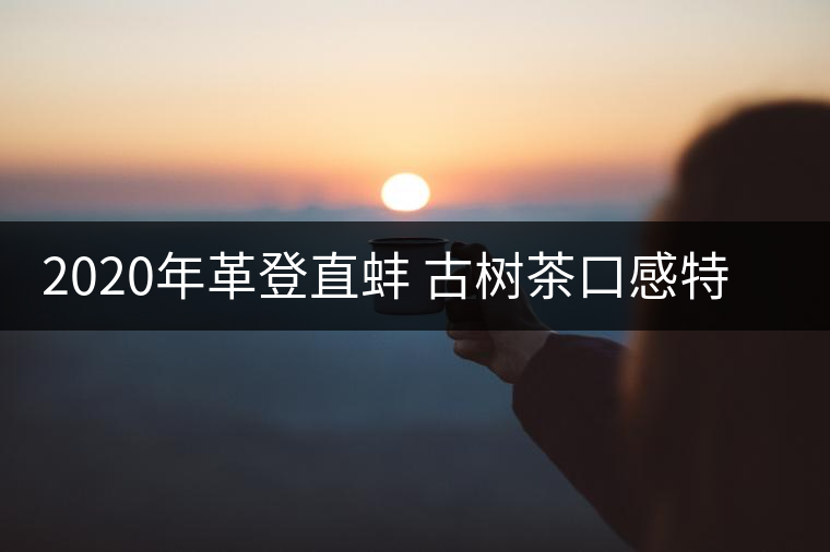 2020年革登直蚌 古樹茶口感特點(diǎn)-易武中聘號 2020年革登直蚌 古樹茶口感特點(diǎn)-易武中聘號
