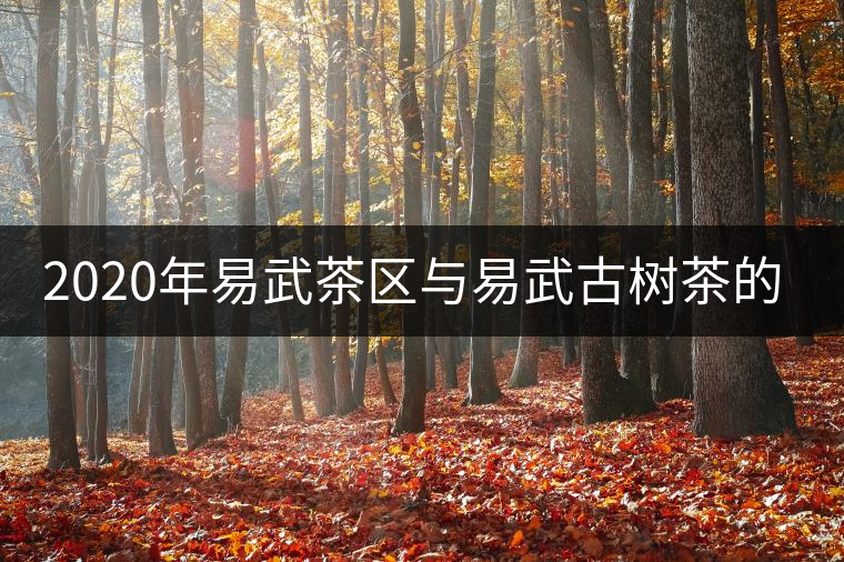 2020年易武茶區(qū)與易武古樹茶的那些事-易武中聘號(hào)
