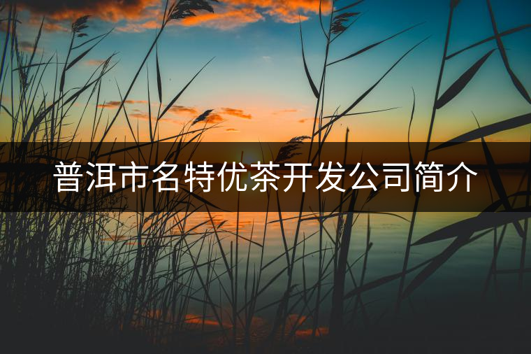 普洱市名特優(yōu)茶開發(fā)公司簡(jiǎn)介