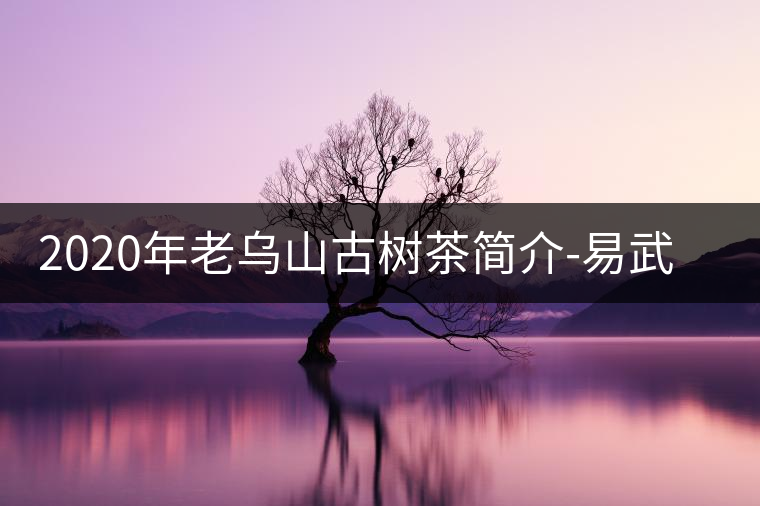 2020年老烏山古樹茶簡介-易武中聘號(hào)