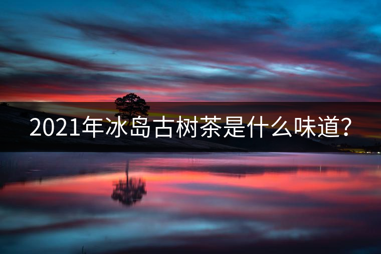 2021年冰島古樹茶是什么味道？