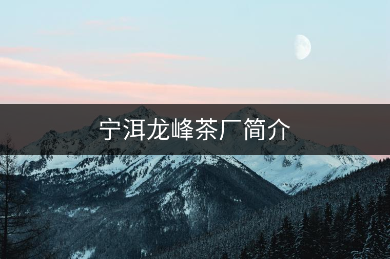 寧洱龍峰茶廠簡介 寧洱龍峰茶廠簡介