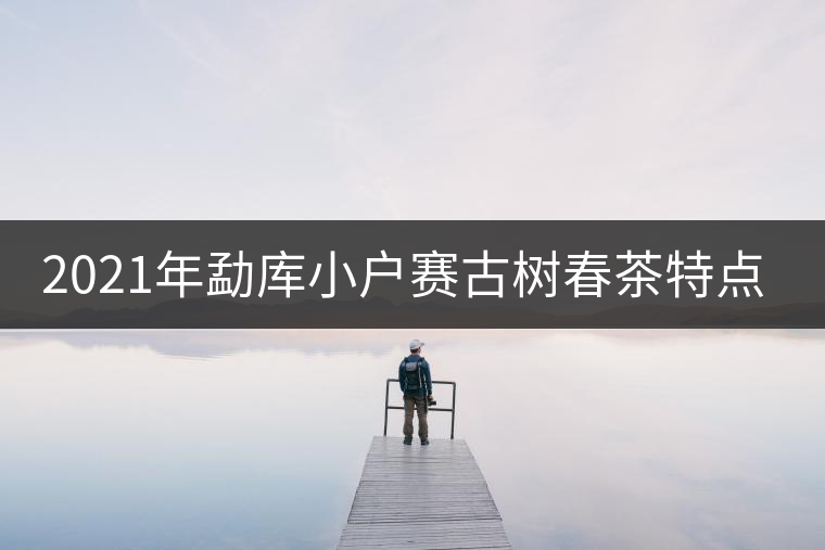 2021年勐庫小戶賽古樹春茶特點(diǎn)？
