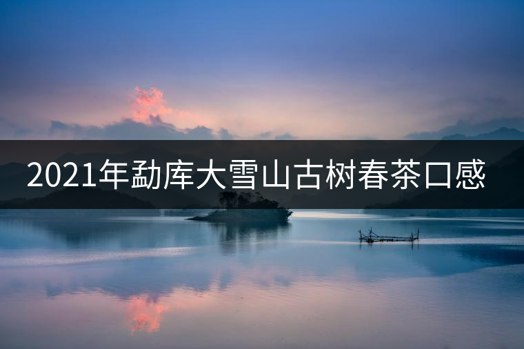 2021年勐庫大雪山古樹春茶口感特點？
