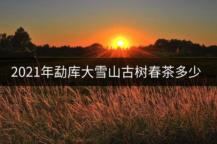 2021年勐庫大雪山古樹春茶多少錢一公斤？