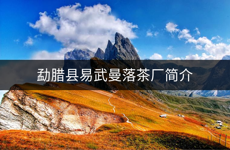 勐臘縣易武曼落茶廠簡(jiǎn)介 勐臘縣易武曼落茶廠簡(jiǎn)介