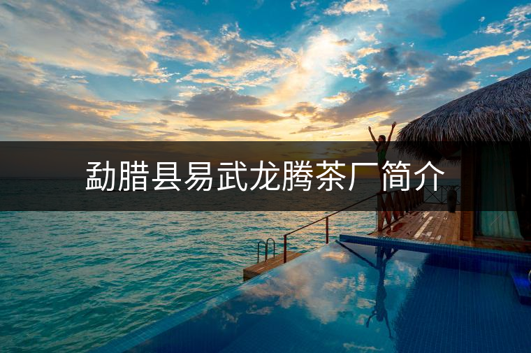 勐臘縣易武龍騰茶廠簡(jiǎn)介
