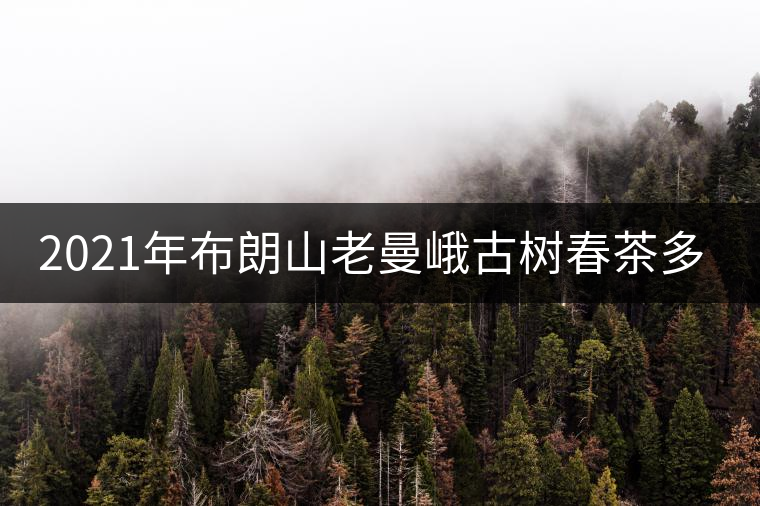 2021年布朗山老曼峨古樹春茶多少錢一公斤？