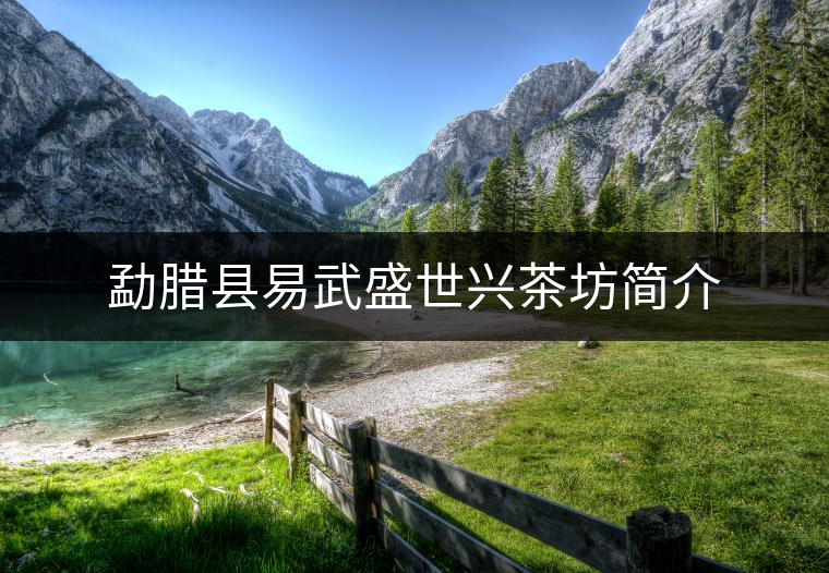 勐臘縣易武盛世興茶坊簡(jiǎn)介