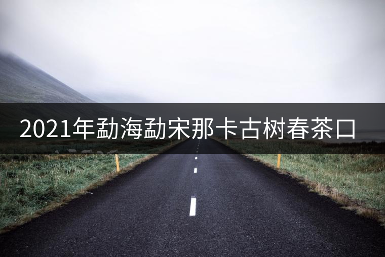 2021年勐海勐宋那卡古樹(shù)春茶口感？
