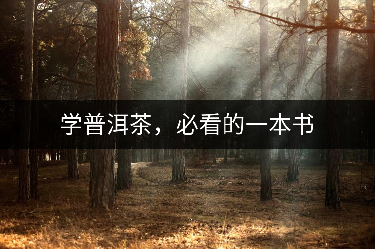 學普洱茶,必看的一本書 學普洱茶,必看的一本書
