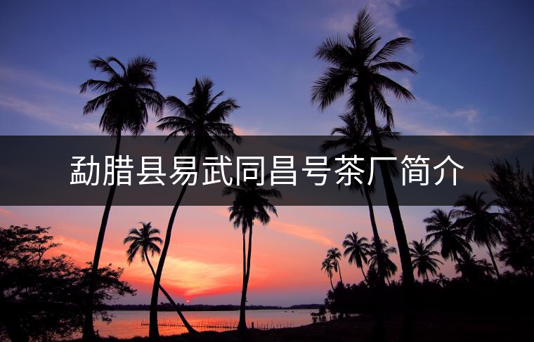 勐臘縣易武同昌號(hào)茶廠簡(jiǎn)介