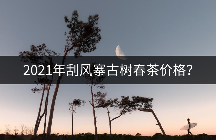 2021年刮風(fēng)寨古樹(shù)春茶價(jià)格？