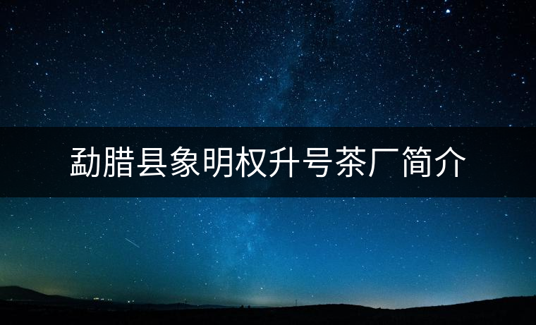 勐臘縣象明權升號茶廠簡介