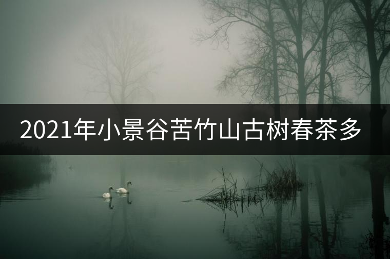 2021年小景谷苦竹山古樹(shù)春茶多少錢(qián)一公斤？