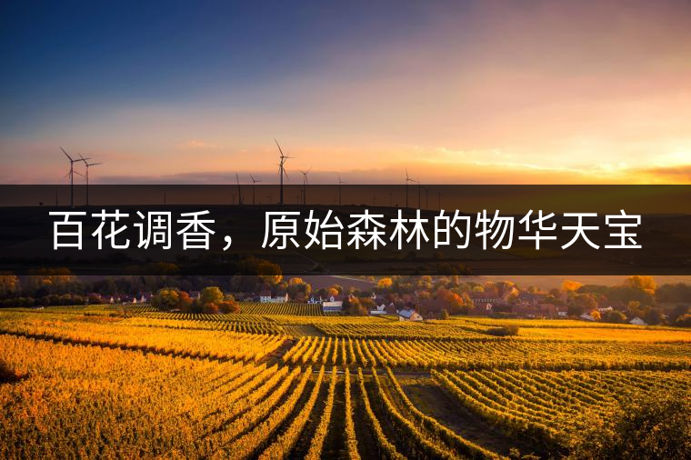 百花調(diào)香，原始森林的物華天寶