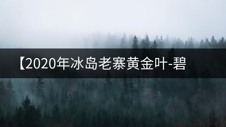 【2020年冰島老寨黃金葉-碧波蕩漾一抹香，輕啜半盞甘若露。