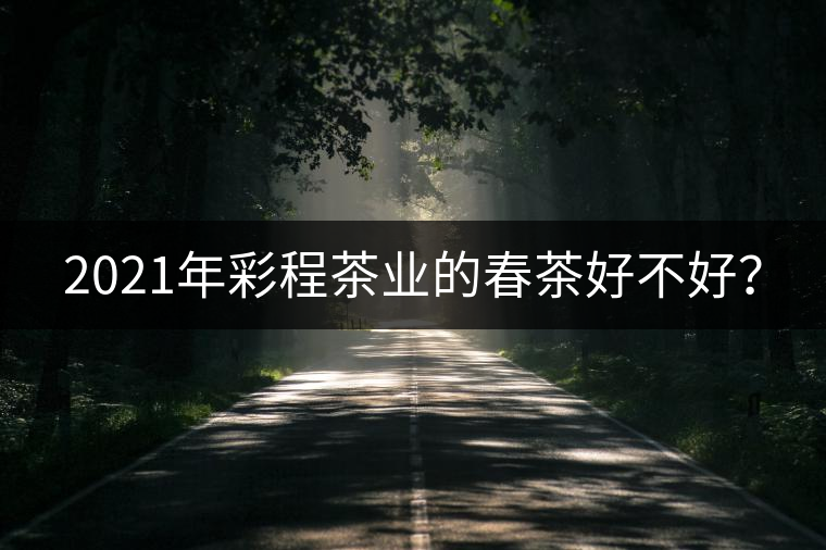 2021年彩程茶業(yè)的春茶好不好？