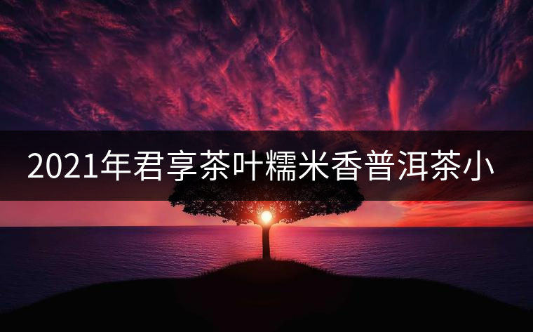 2021年君享茶葉糯米香普洱茶小沱茶餅口感好嗎？