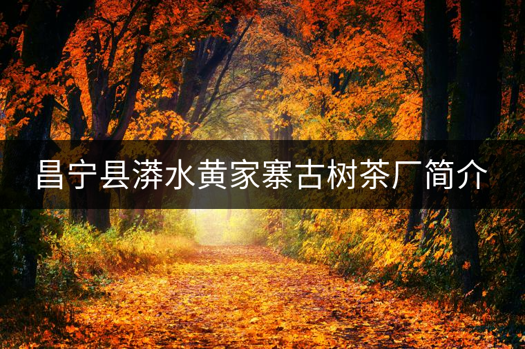 昌寧縣漭水黃家寨古樹茶廠簡介