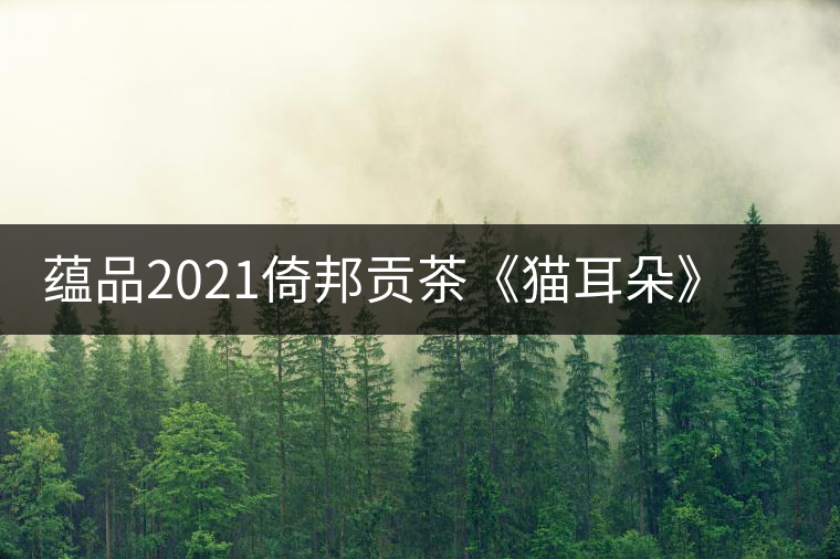 蘊品2021倚邦貢茶《貓耳朵》古樹普洱茶生茶好喝嗎？