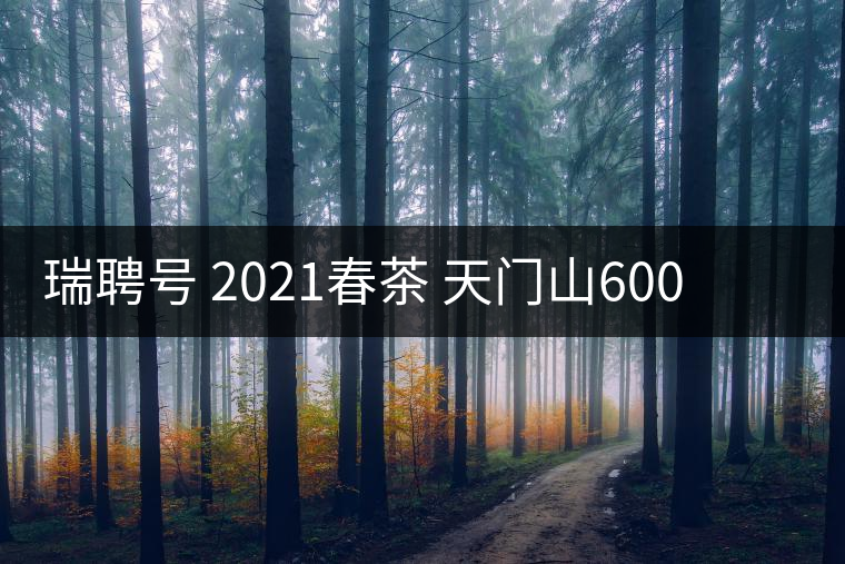 瑞聘號 2021春茶 天門山600 頭春古樹口感怎么樣？