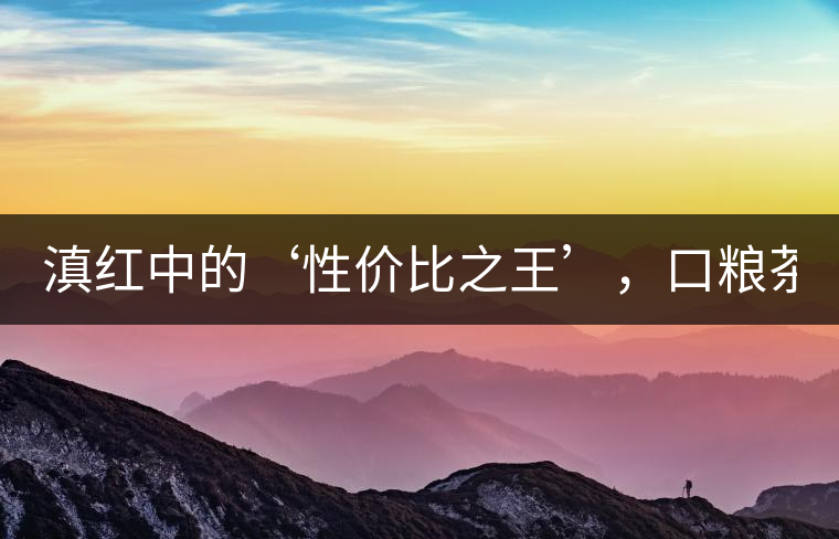 滇紅中的‘性價比之王’，口糧茶首選！