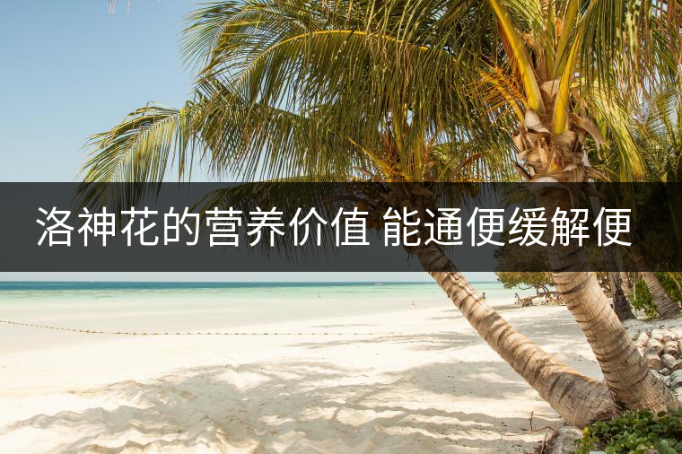 洛神花的營養(yǎng)價(jià)值 能通便緩解便秘嗎 洛神花的營養(yǎng)價(jià)值 能通便緩解便秘嗎