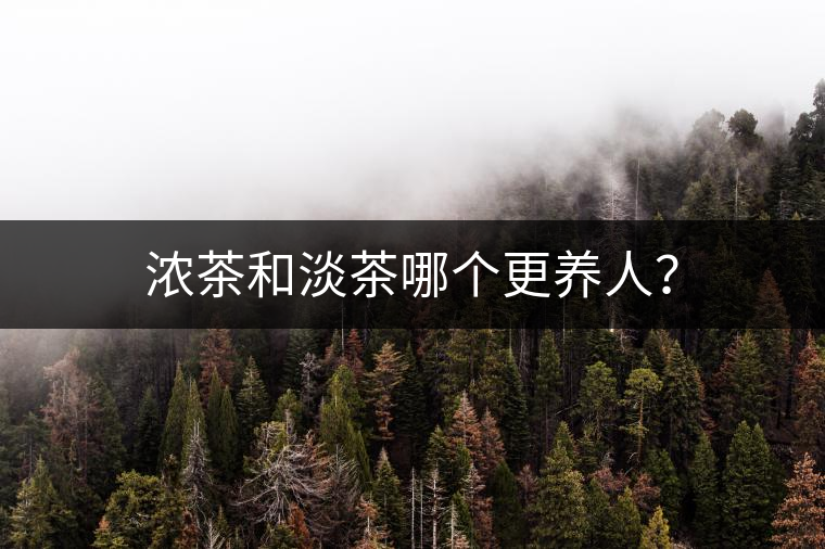 濃茶和淡茶哪個更養(yǎng)人？