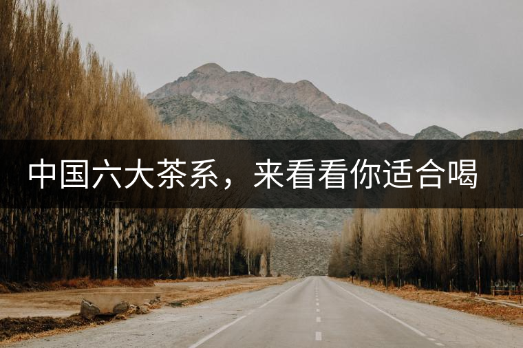 中國六大茶系，來看看你適合喝哪種茶？