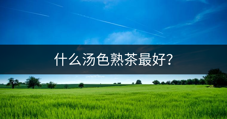 什么湯色熟茶最好？