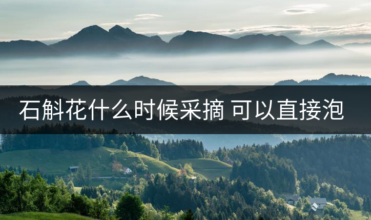 石斛花什么時(shí)候采摘 可以直接泡水喝嗎 石斛花什么時(shí)候采摘 可以直接泡水喝嗎
