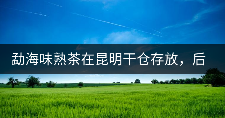 勐海味熟茶在昆明干倉(cāng)存放，后期轉(zhuǎn)化如何呢？