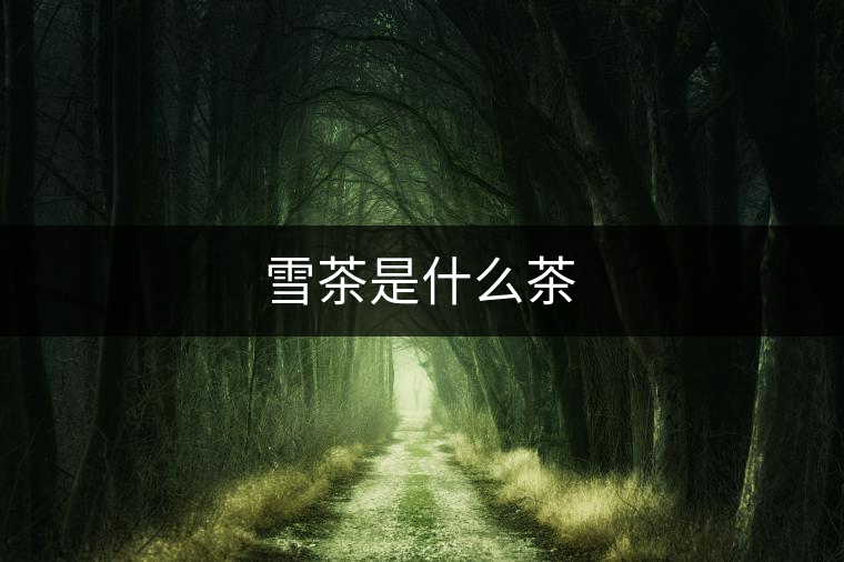 雪茶是什么茶 雪茶是什么茶