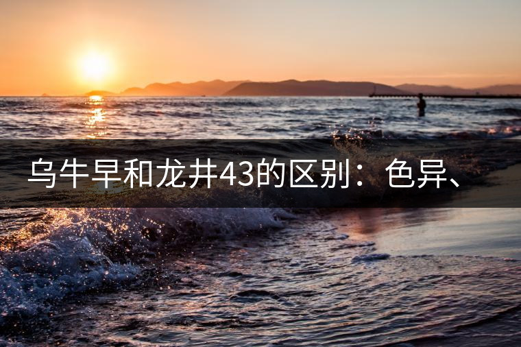 烏牛早和龍井43的區(qū)別：色異、香異、形異