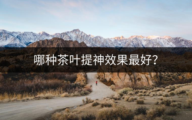 哪種茶葉提神效果最好？