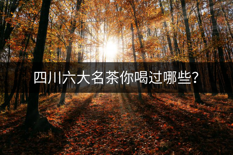 四川六大名茶你喝過哪些？