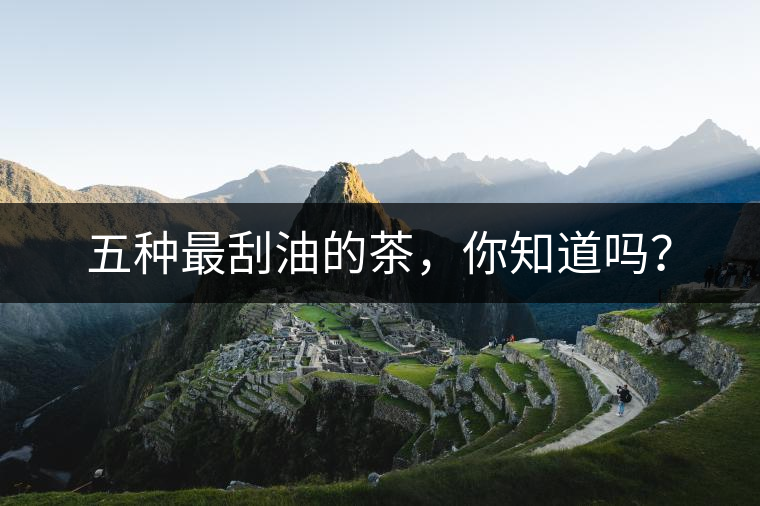 五種最刮油的茶，你知道嗎？