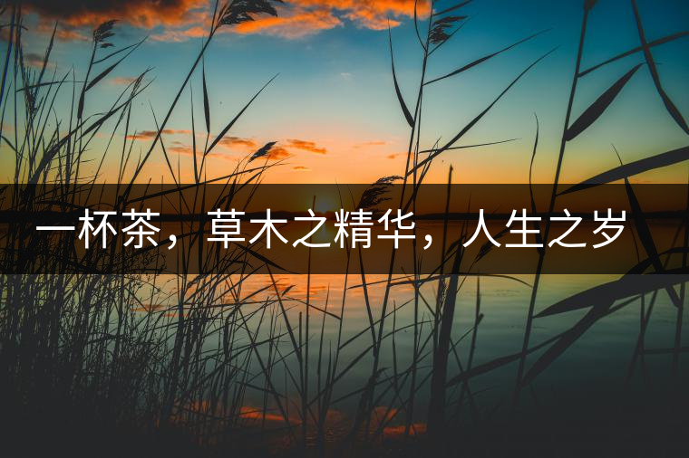 一杯茶，草木之精華，人生之歲月