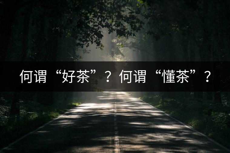 何謂“好茶”？何謂“懂茶”？