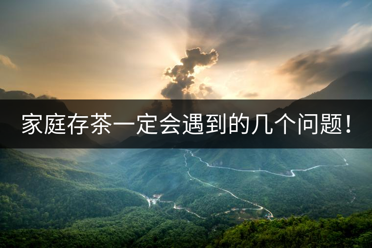 家庭存茶一定會(huì)遇到的幾個(gè)問題！