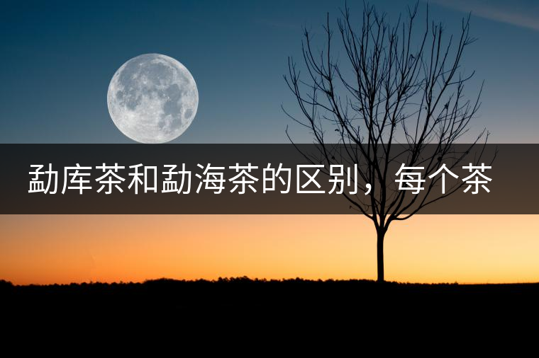 勐庫茶和勐海茶的區(qū)別，每個(gè)茶友都該了解的選茶常識！