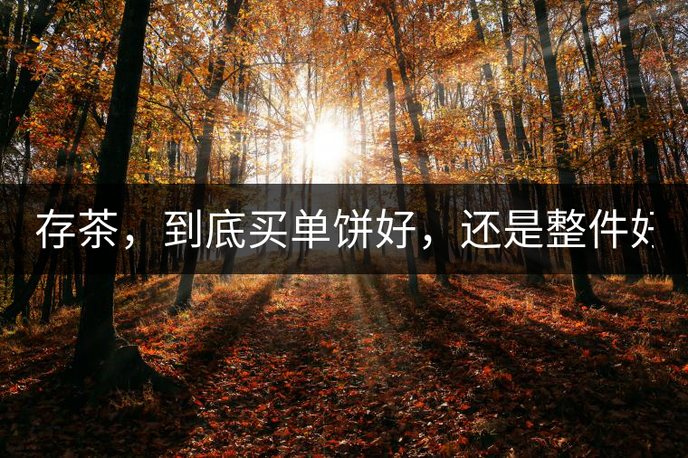 存茶，到底買單餅好，還是整件好？