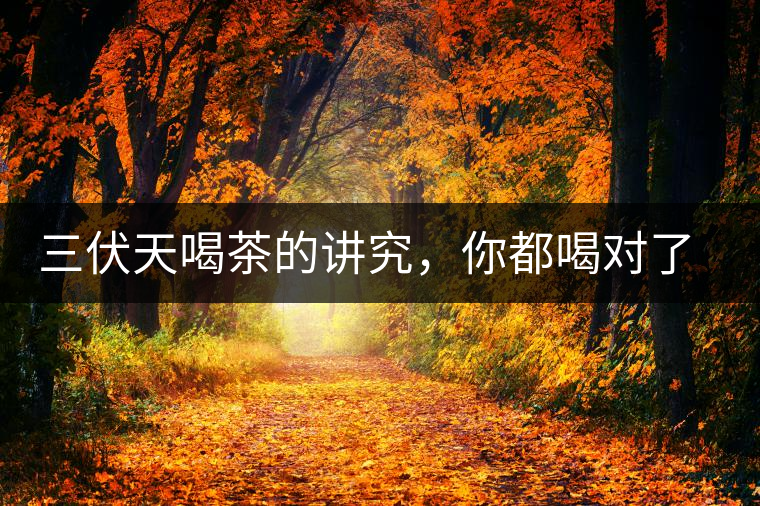 三伏天喝茶的講究，你都喝對(duì)了嗎？